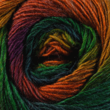 King Cole Riot DK Yarn Autumn 1841 100g